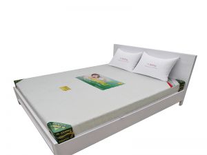 NỆM ÉP 1 VIỀN - DREAM ROYAL CAO CẤP Á CHÂU