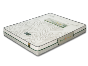 NỆM CAO SU DẦU CỌ NATURAL