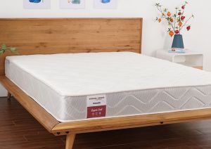 NỆM LÒ XO DUNLOPILLO VENUS SUPREME