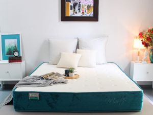 NỆM LÒ XO EDENA MASTER