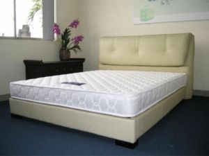 NỆM LÒ XO TÚI LIÊN KẾT DUNLOPILLO ANPHA