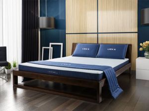 NỆM CAO SU L'A DOME BLUE LIÊN Á