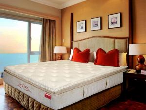 NỆM LÒ XO TÚI ĐỘC LẬP DUNLOPILLO EVITA