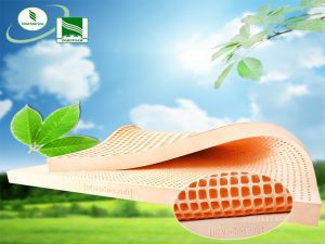 NỆM CAO SU FRIENDLY ĐỒNG PHÚ