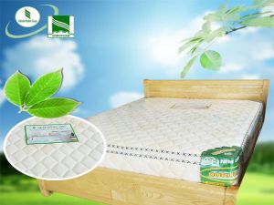NỆM LÒ XO MẶT CAO SU ĐỒNG PHÚ