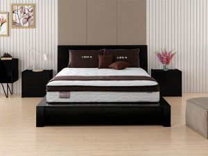 NỆM LÒ XO COCOON 2.0 PREMIUM LIÊN Á