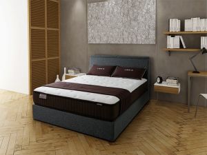 NỆM LÒ XO COCOON 2.0 FIRM LIÊN Á